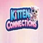 Kitten Connections