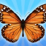 MergeButerfly: 2048! – Play Pogo Games Free Online Now